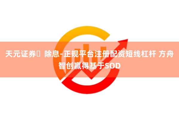 天元证券‌除息-正规平台注册配资短线杠杆 方舟智创赢得基于SOD